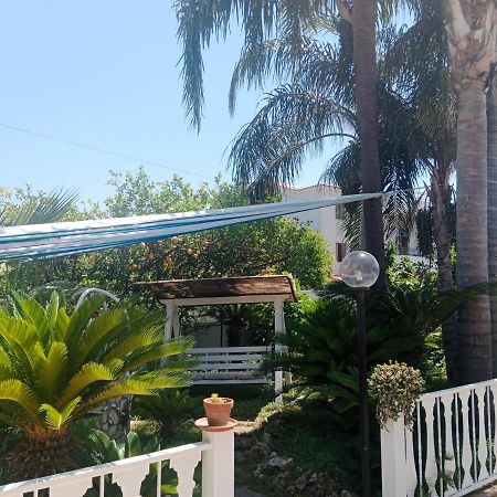 B&B Ciro Pompei Exterior photo